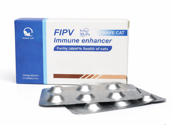 Black cat calmly sitting on examination table while veterinarian gently checks